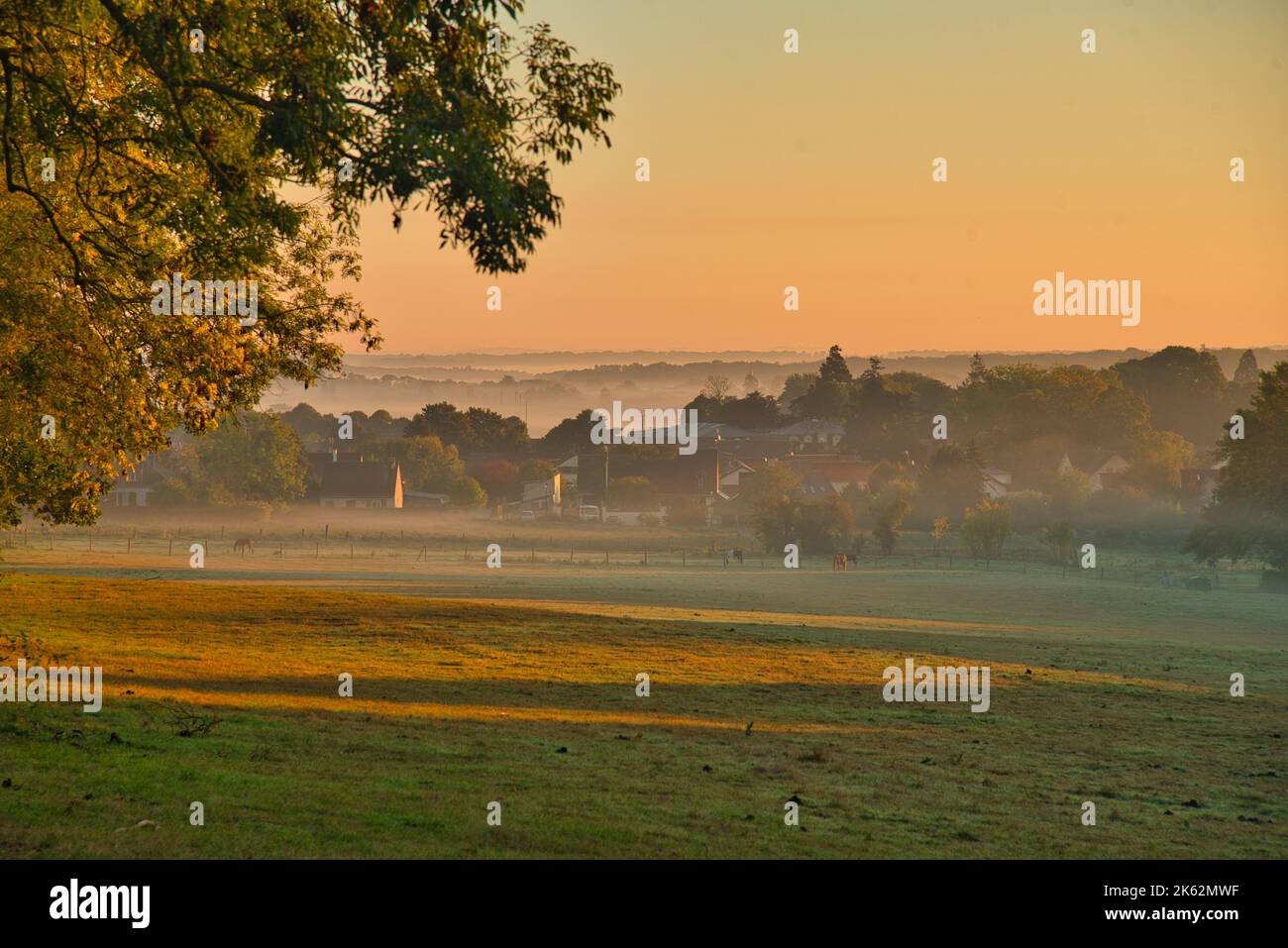 Matin brumeux près de Plailly dans le Val d'Oise en France Banque D'Images