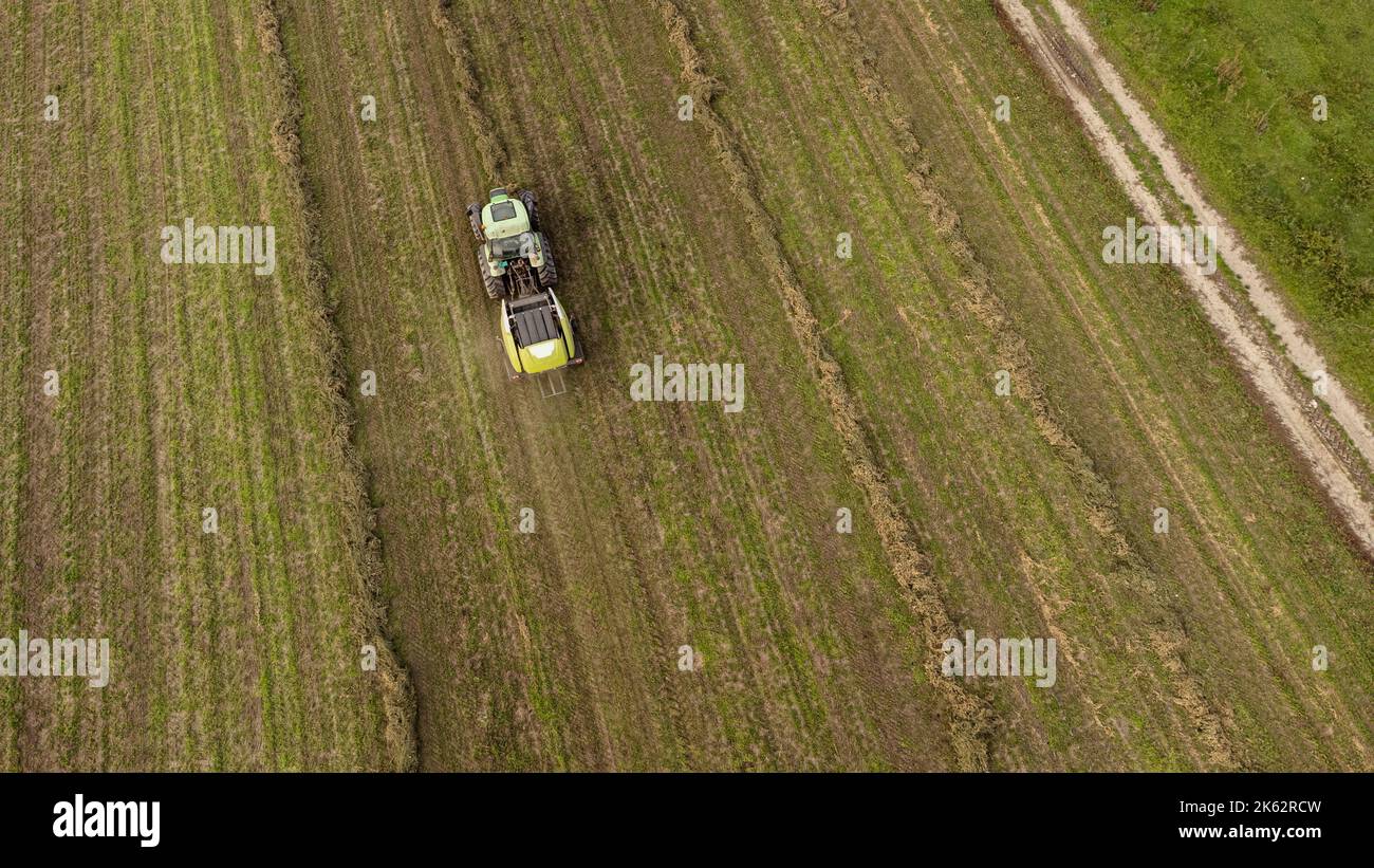 Tracteur ramassant des botte de foin dans le champ dans une belle journée bleue ensoleillée Banque D'Images
