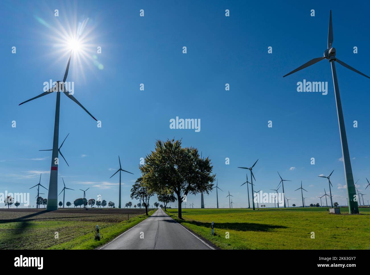 Parc éolien près de Lichtenau, éoliennes, ciel, vent, soleil, NRW, Allemagne, Banque D'Images