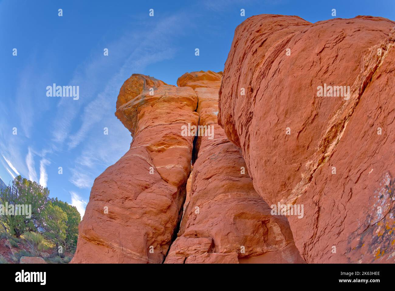 Vue rapprochée de la flèche nord-ouest du Cockscomb Butte à Sedona, Arizona. Banque D'Images