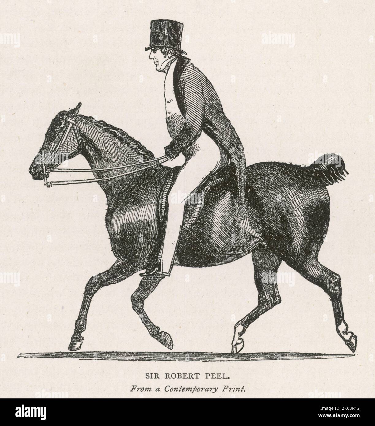 SIR ROBERT PEEL (1788 - 1850), politicien anglais et premier ministre conservateur, à cheval. Banque D'Images