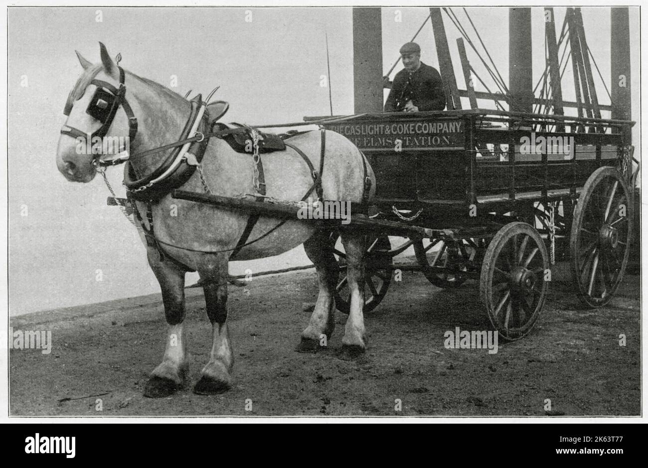 Gas Light & Coke Company à Nine Elms sur la rive sud de la Tamise, photographie montrant leur cheval et leur calèche shire. Banque D'Images