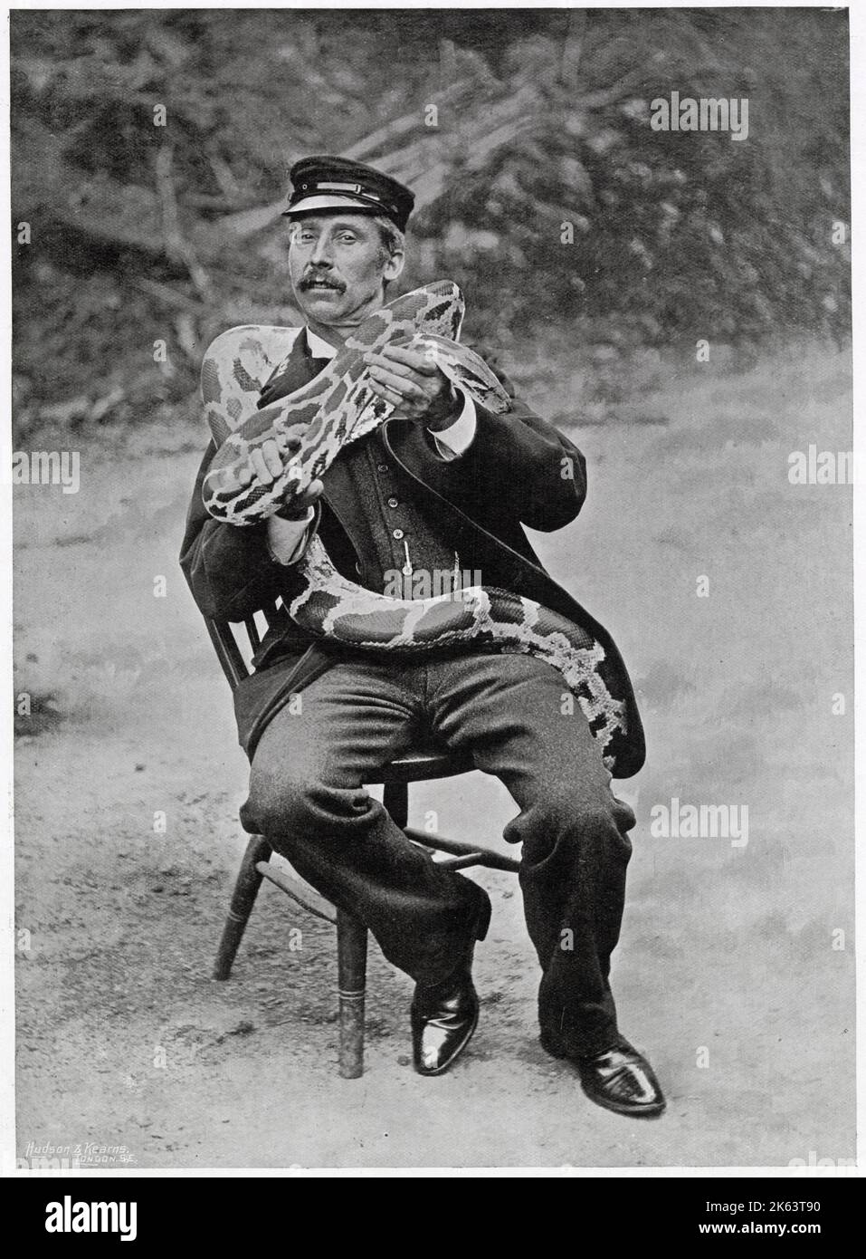M. Tyrrell, le gardien en chef de la maison des reptiles au zoo de Londres, tenant un boa constrictor de 9 pieds de long, qui s'enroule autour de son cou. Banque D'Images