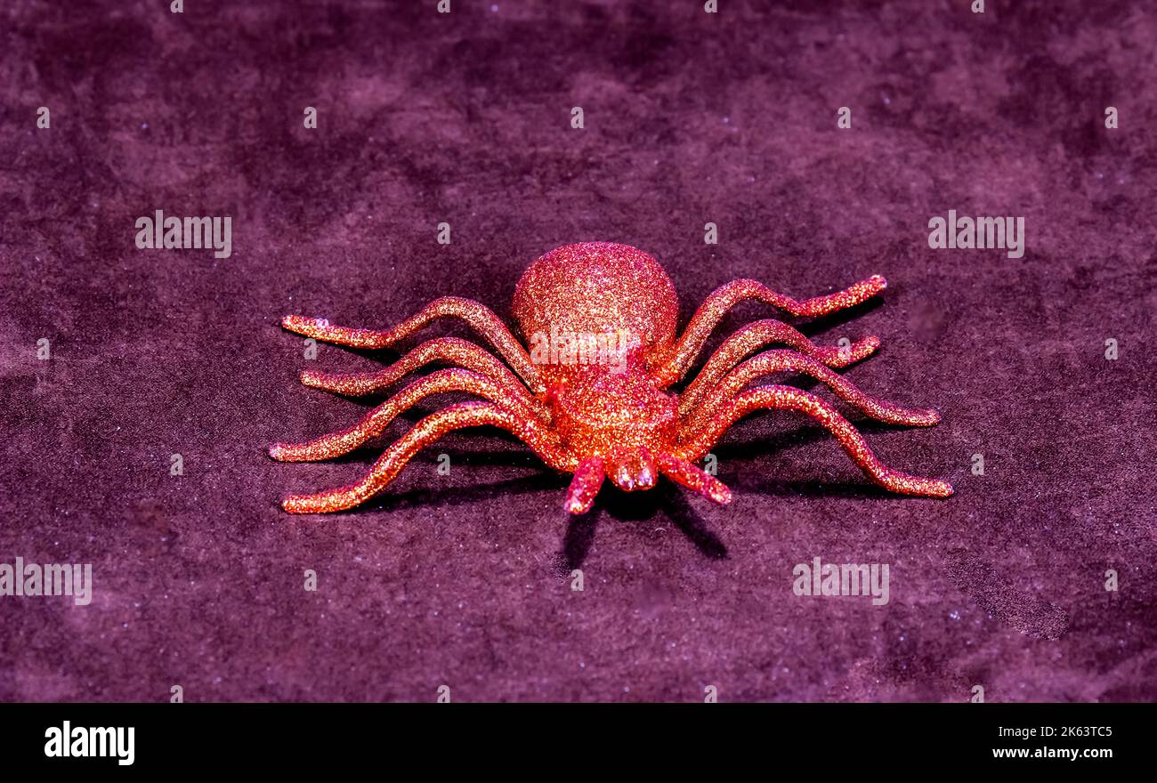 Fausse araignée dorée avec huit pattes Banque D'Images