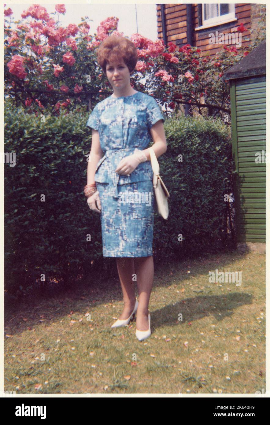 Une jeune femme vêtu d'une élégante tenue d'été bleue et blanche en deux pièces (avec sac à main en cuir blanc assorti) debout à côté d'une haie bien coupée et d'un rosier rose dans un jardin arrière de banlieue britannique. Banque D'Images