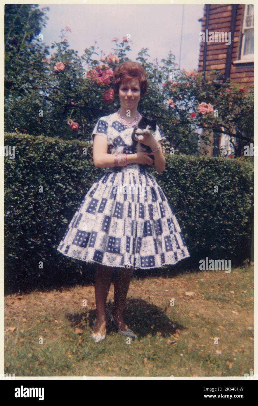 Une jeune femme dans une grenouille d'été smark, debout dans un jardin arrière britannique de banlieue magnifiquement entretenu (devant une haie privée et rose rose) tenant l'animal de compagnie de famille chat - été 1961. Banque D'Images