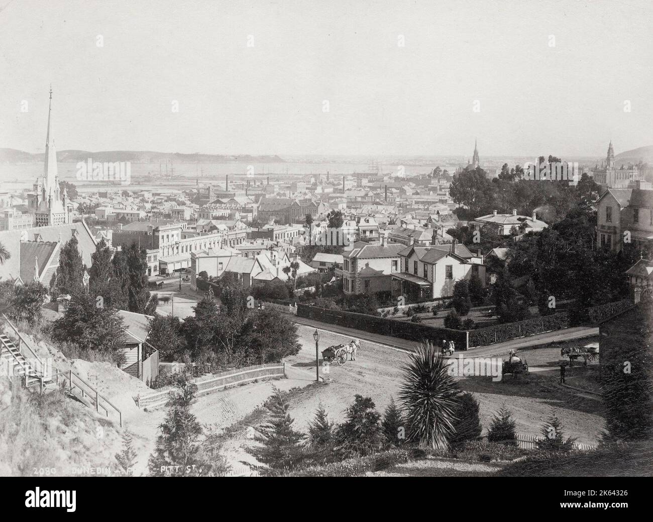 Photographie du XIXe siècle - vue sur la ville de Dunedin, Nouvelle-Zélande, Pitt Street Banque D'Images