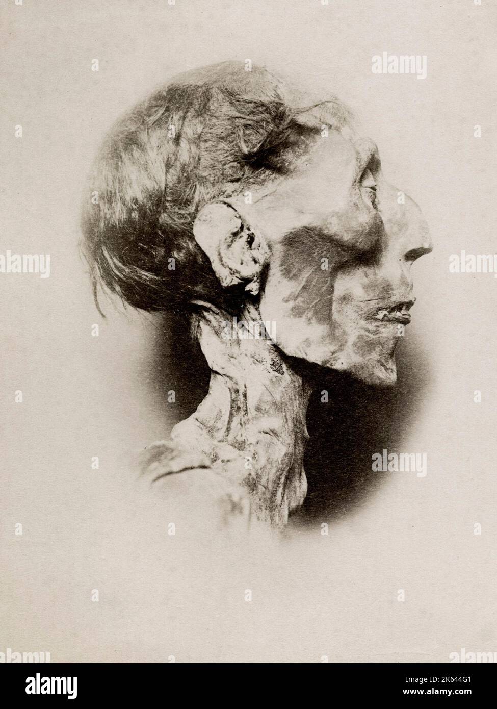 Photographie vintage du 19th siècle - momie momifiée tête du roi Ramses Ramsès II, pharaon. Banque D'Images