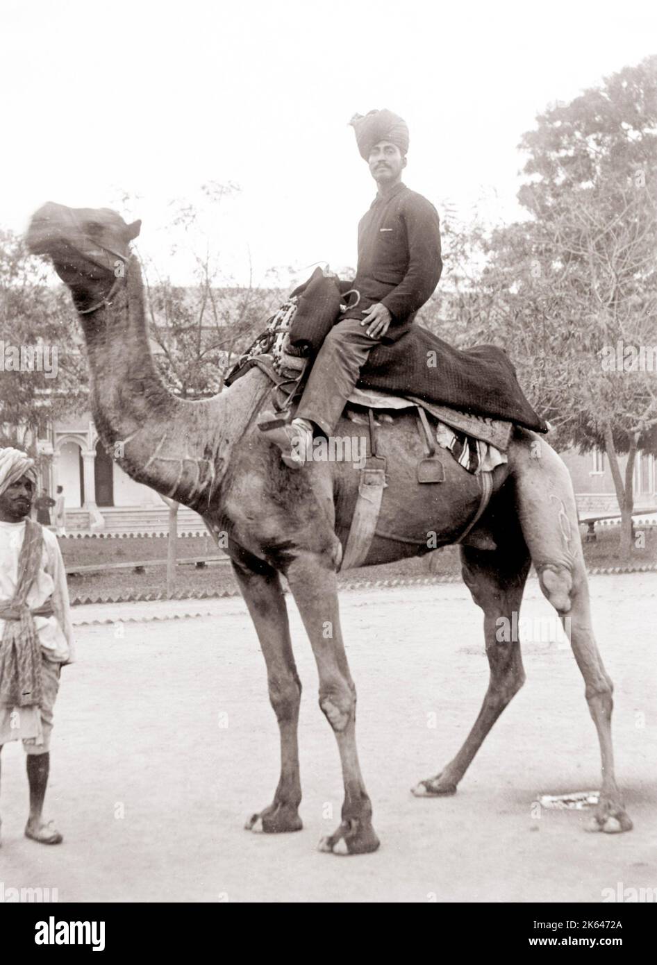 C. 1880 L'Inde - homme dans un turban à cheval sur un chameau Banque D'Images