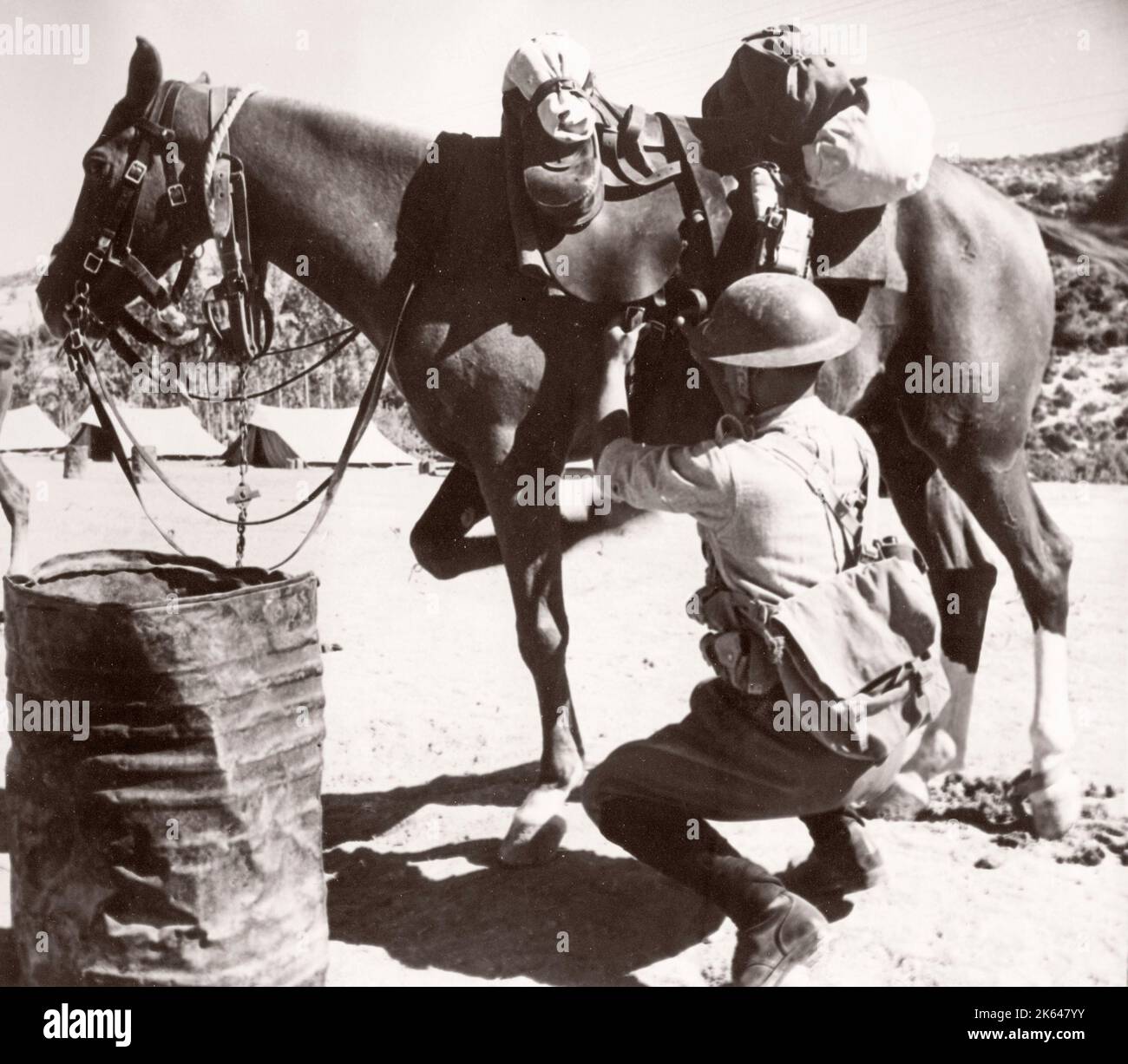 1943 Syrie - régiment d'armée TJFF de la Force frontalière transjordanienne ou transjordanienne Photographie d'un officier de recrutement de l'armée britannique stationné en Afrique de l'est et au Moyen-Orient pendant la Seconde Guerre mondiale Banque D'Images