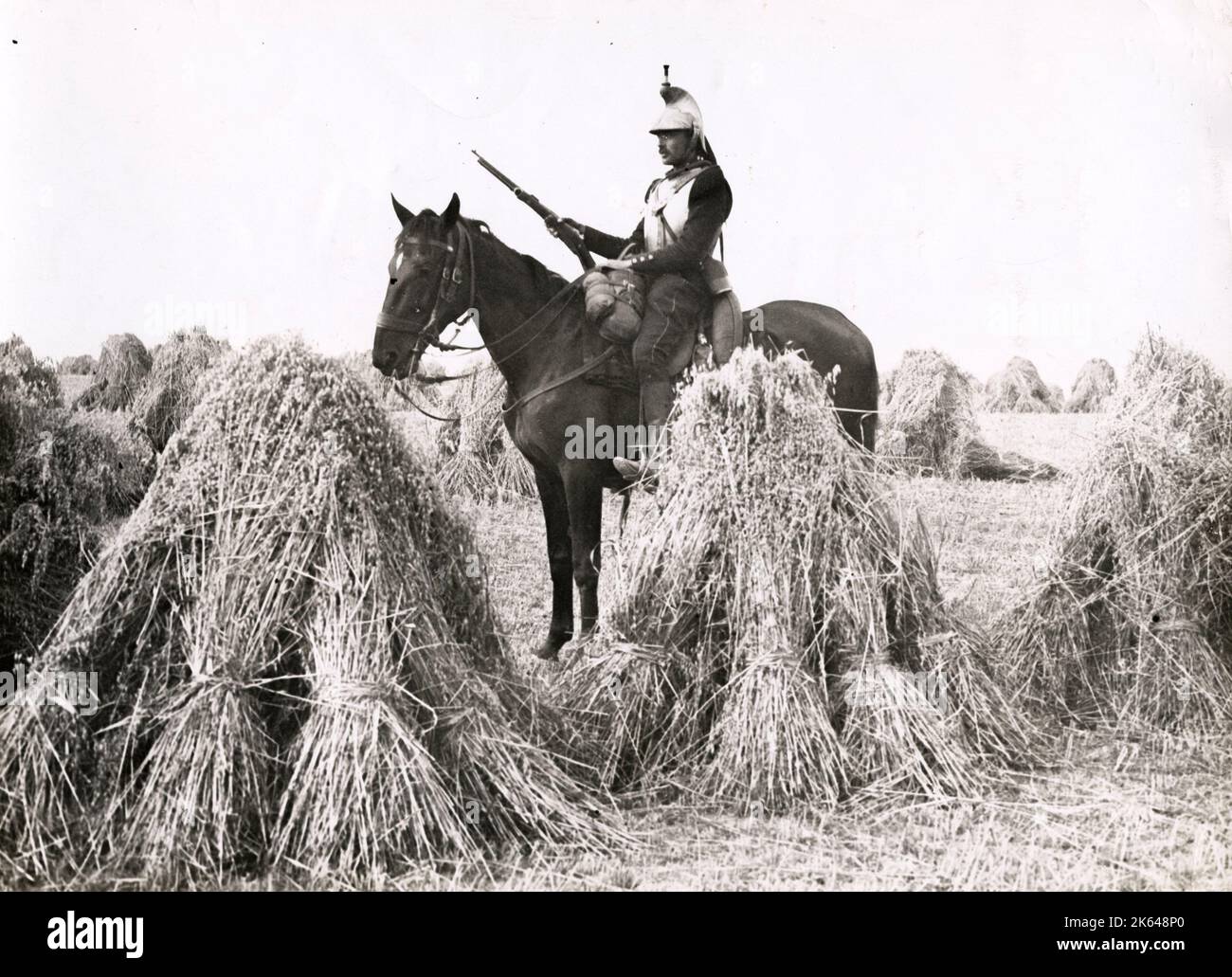 Photographie de la première Guerre mondiale - première Guerre mondiale : observation de la cavalerie française parmi les cultures, Belgique Banque D'Images