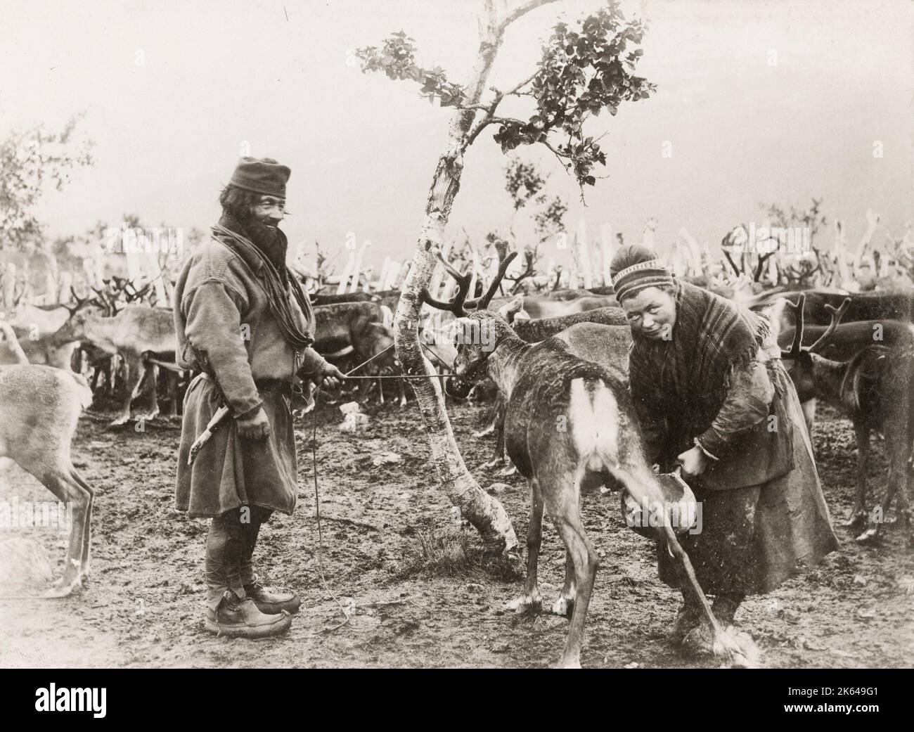 Photographie vintage du XIXe siècle : homme et femme sâmes qui milite un renne, Norvège. Banque D'Images
