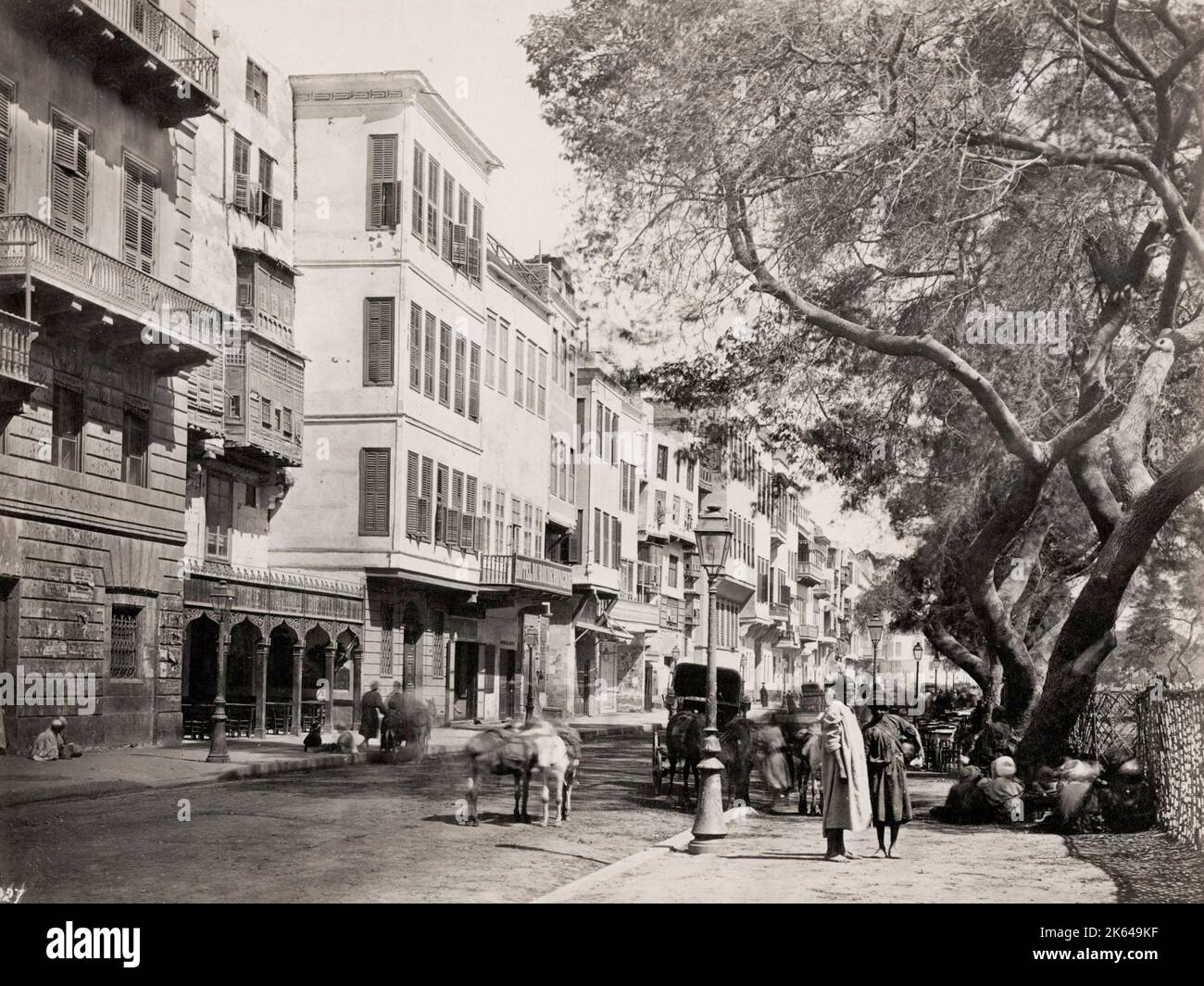Photographie vintage du XIXe siècle : scène de rue, le Caire Égypte. Banque D'Images