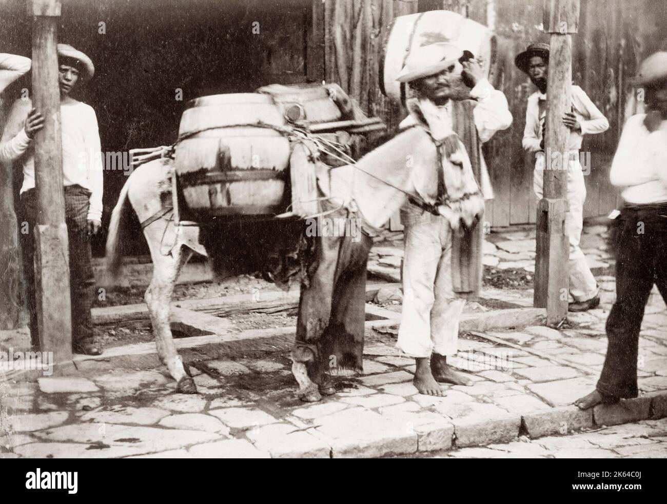 Photographie vintage du XIXe siècle : Amérique du Sud, sac à dos de cheval avec sa charge et son maître. Banque D'Images