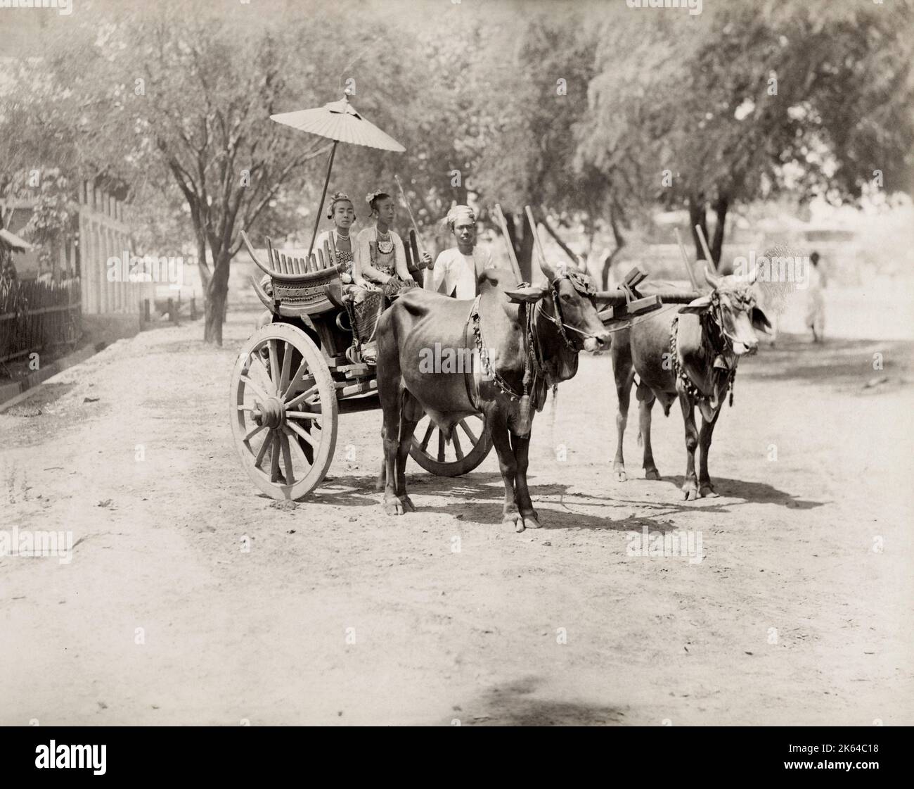 Photo du XIXe siècle : chariot bullock avec chauffeur et deux femmes bien vêtues, Inde britannique, Birmanie, Myanmar, c.1890. Banque D'Images