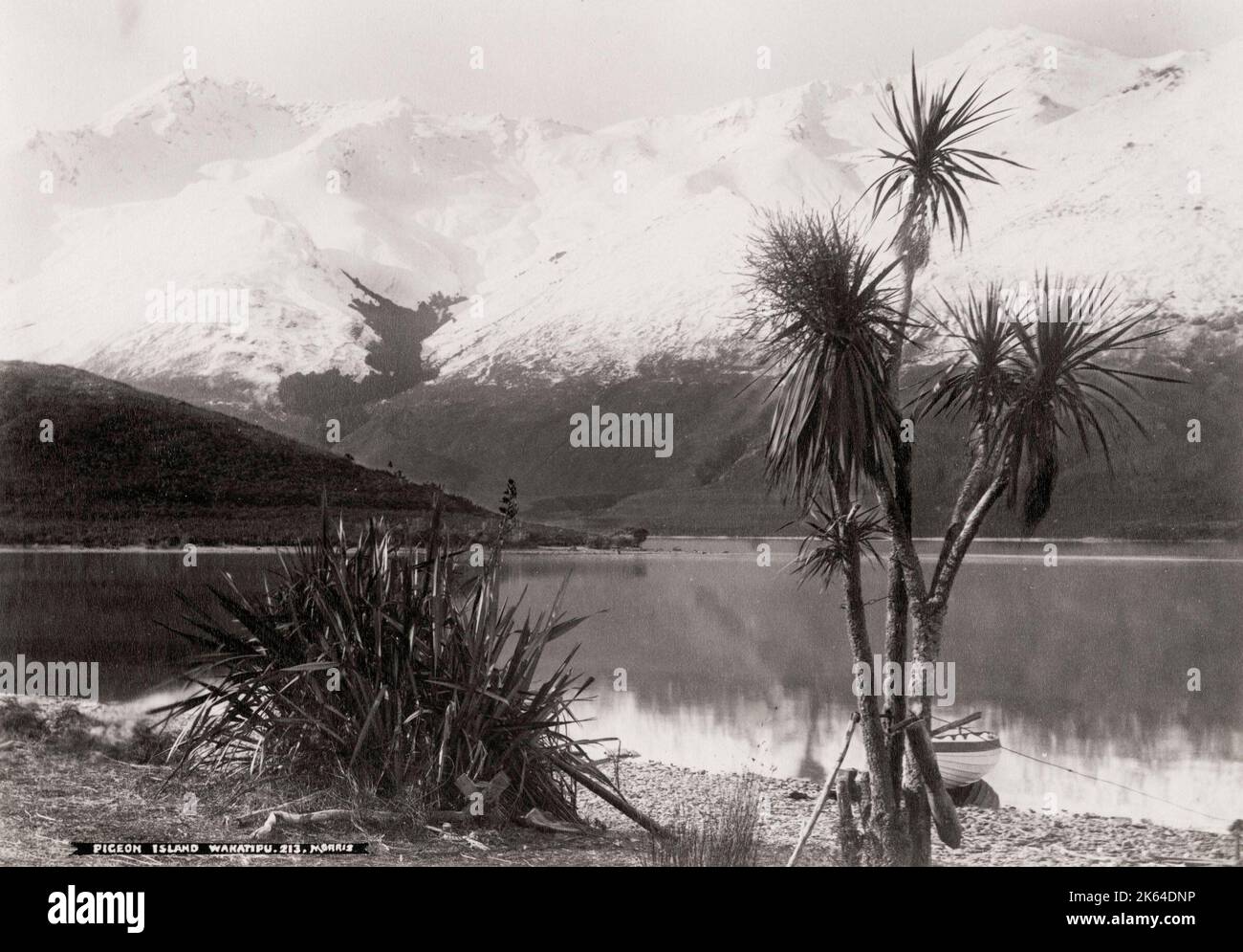 Photographie ancienne du XIXe siècle : Nouvelle-Zélande - Pigeon Island, Wakatipu Banque D'Images