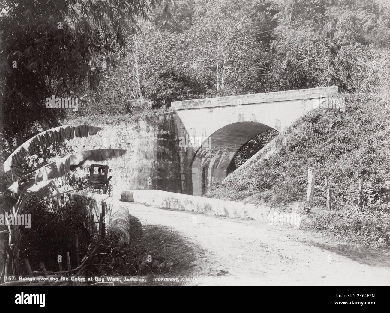 Photographie de la fin du XIXe siècle : pont sur la rivière Cobre, promenade de la tourbière, Jamaïque, Antilles Banque D'Images