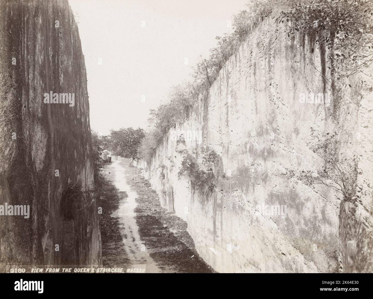 Photo de la fin du XIXe siècle : vue depuis l'escalier de la Reine, Nassau, Bahamas Banque D'Images