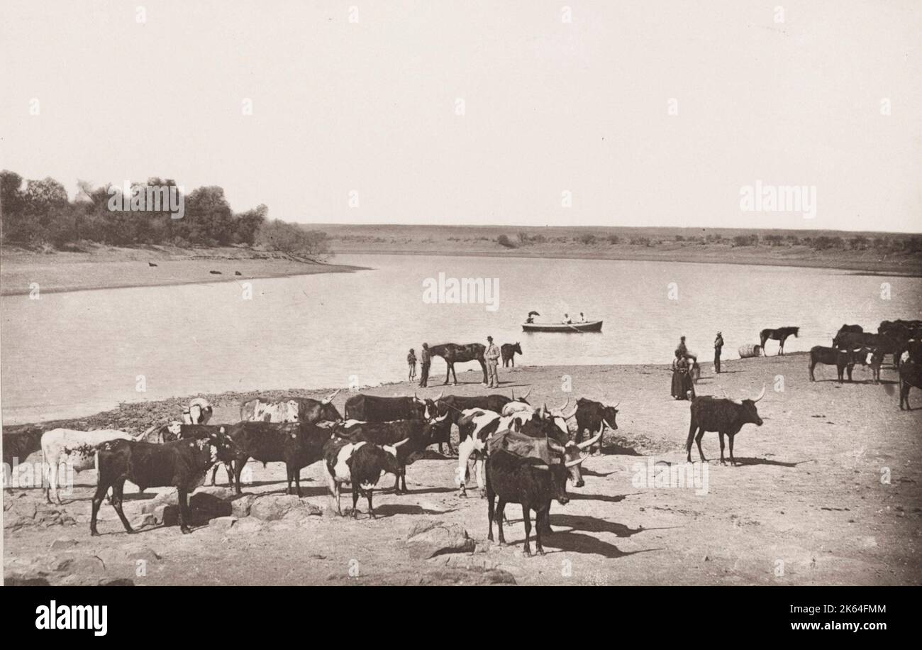 Photographie vintage du XIXe siècle : virage dans la rivière Vaal, Afrique du Sud. Banque D'Images