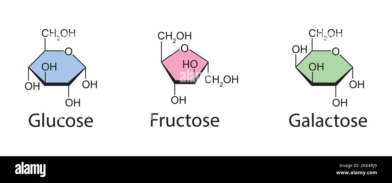 Illustration chimique des monosaccharides. Glucose, fructose et galactose. Symboles colorés. Illustration vectorielle. Illustration de Vecteur