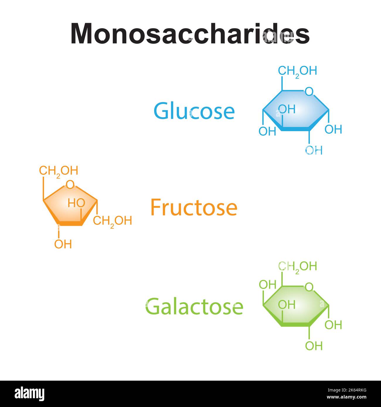 Illustration chimique des monosaccharides. Glucose, fructose et galactose. Symboles colorés. Illustration vectorielle. Illustration de Vecteur