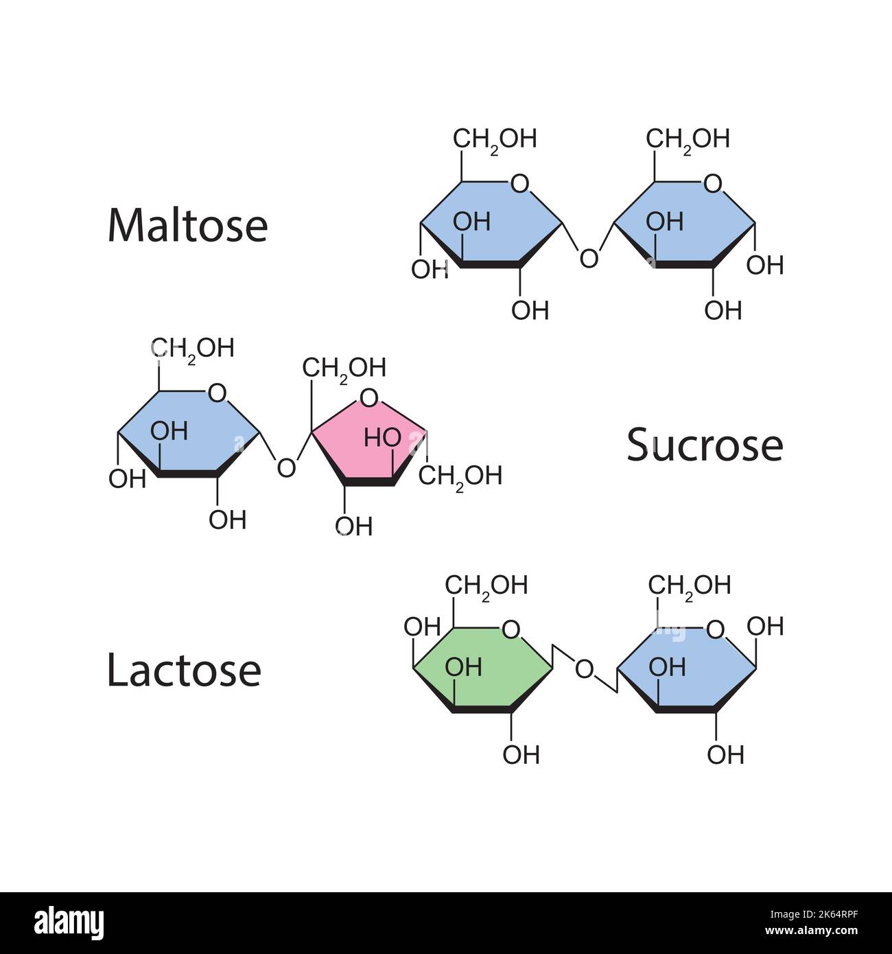 Illustration chimique des disaccharides. Maltose, saccharose et lactose. Symboles colorés. Illustration vectorielle. Illustration de Vecteur