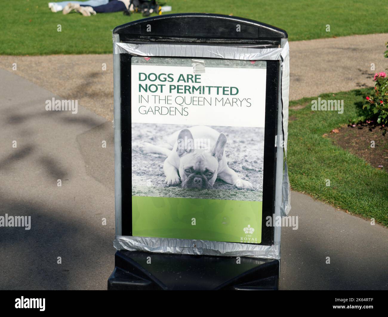 Un grand panneau indiquant que les chiens ne sont pas autorisés dans les jardins Queen Mary's Gardens dans le cercle intérieur du Regent's Park de Londres Banque D'Images