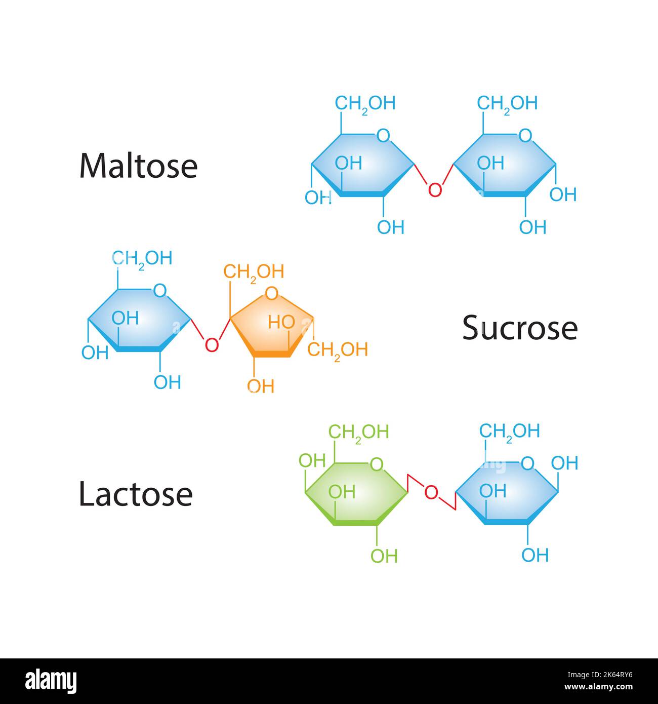 Illustration chimique des disaccharides. Maltose, saccharose et lactose. Symboles colorés. Illustration vectorielle. Illustration de Vecteur