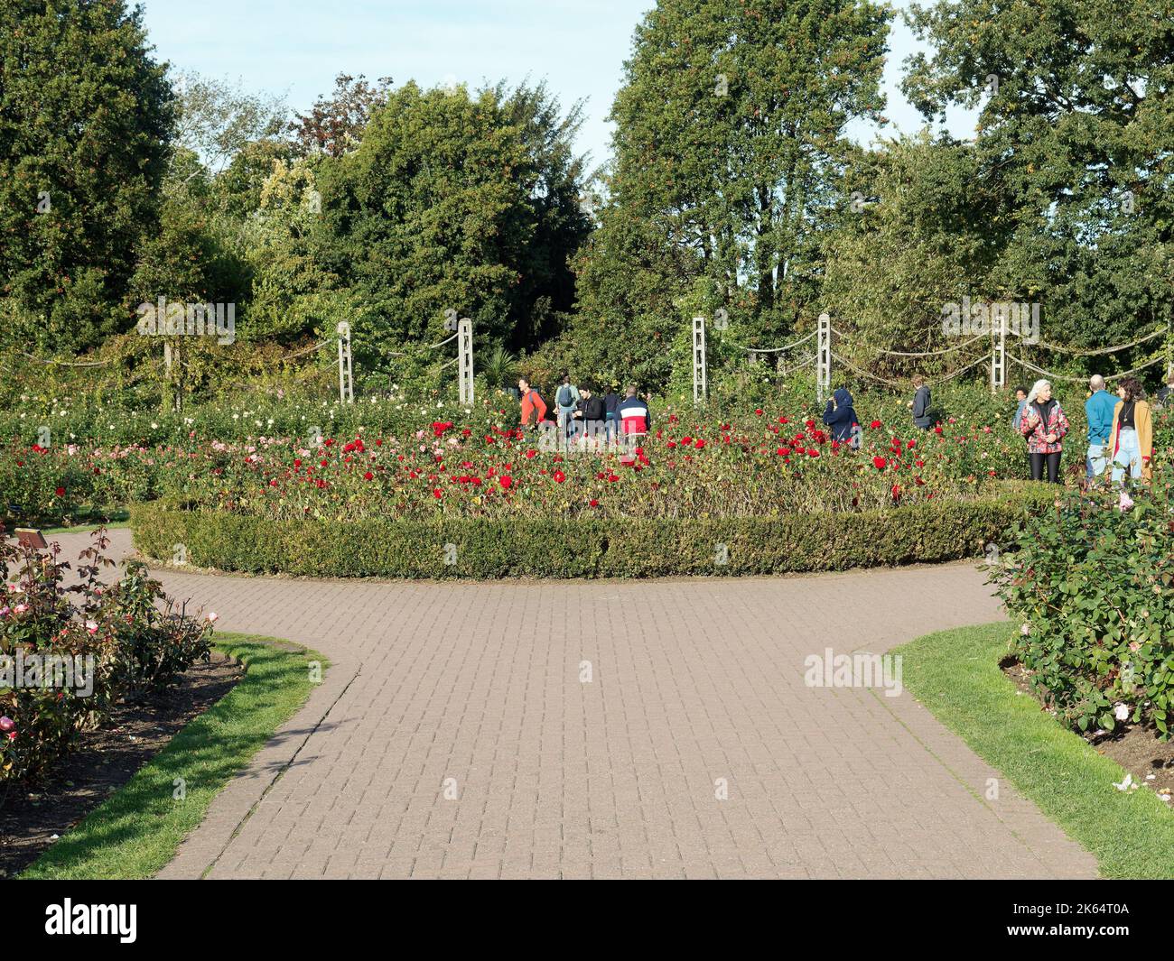 Les gens errant à travers le Queen Mary's Rose Garden dans le cercle intérieur de Regent's Park à Londres Banque D'Images