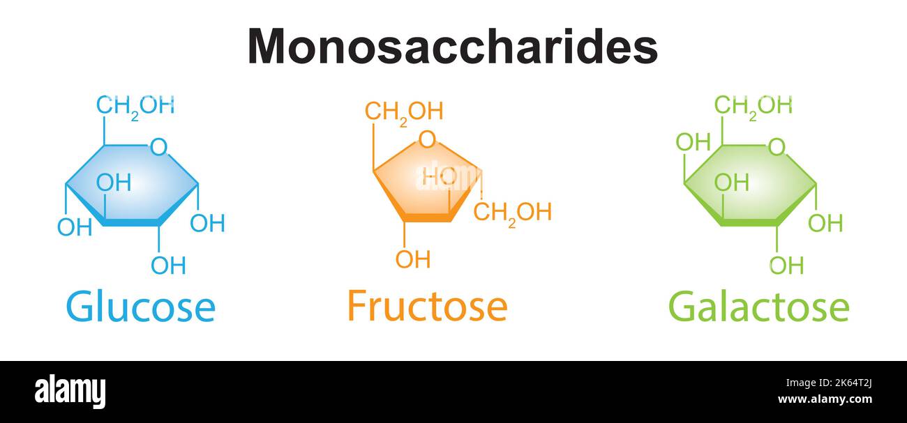 Illustration chimique des monosaccharides. Glucose, fructose et galactose. Symboles colorés. Illustration vectorielle. Illustration de Vecteur