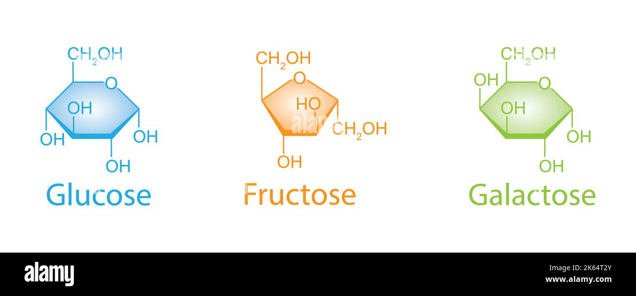 Illustration chimique des monosaccharides. Glucose, fructose et galactose. Symboles colorés. Illustration vectorielle. Illustration de Vecteur