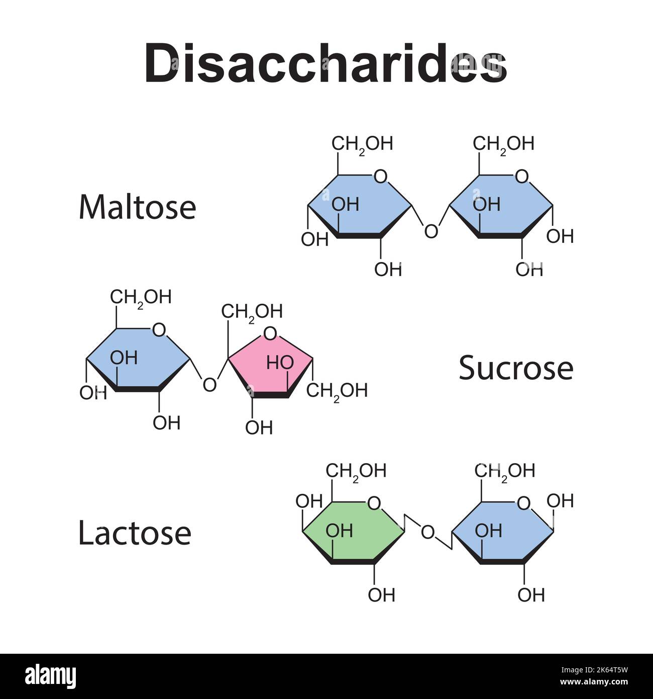 Illustration chimique des disaccharides. Maltose, saccharose et lactose. Symboles colorés. Illustration vectorielle. Illustration de Vecteur