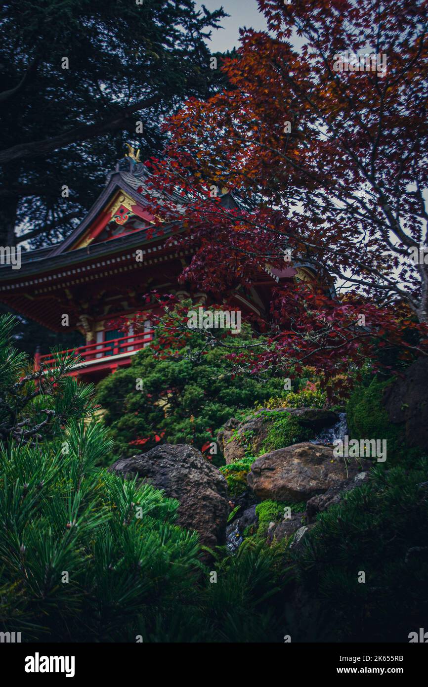 Temple japonais dans le jardin de thé japonais à San Francisco, Californie Banque D'Images
