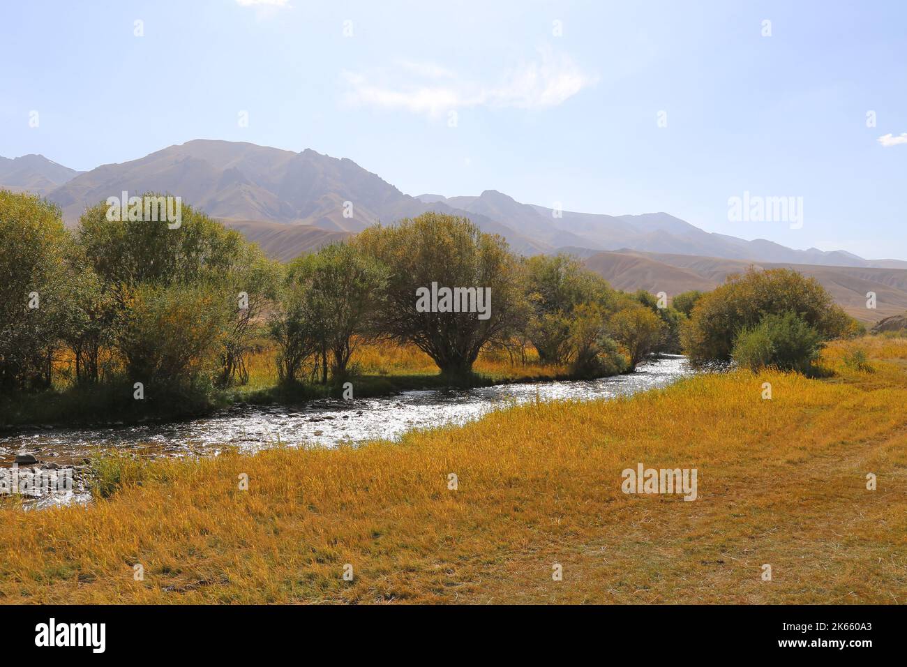 Rivière Kalmak Ashuu, Song Kul, montagnes Tien Shan, région de Naryn, Kirghizistan, Asie centrale Banque D'Images Rivière Kalmak Ashuu, Song Kul, montagnes Tien Shan, région de Naryn, Kirghizistan, Asie centrale Banque D'Images