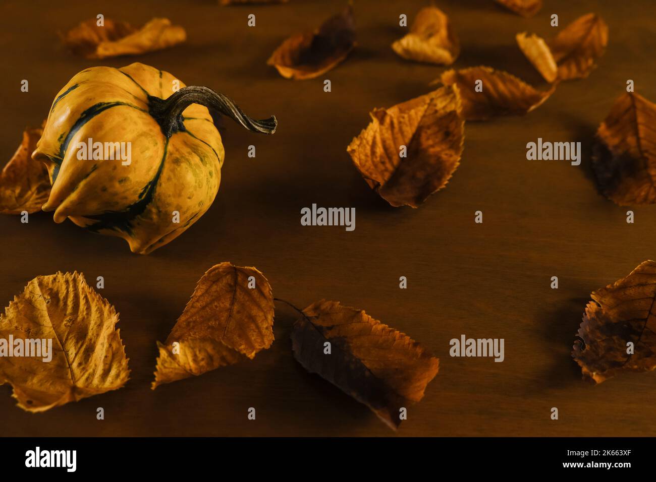 Citrouille décorative avec feuilles d'automne sèches floues et espace de copie pour le texte Banque D'Images