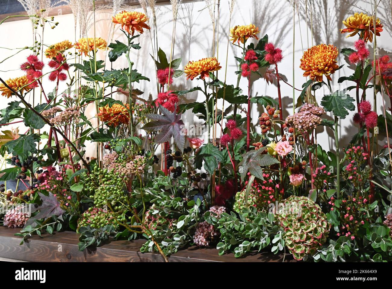 Un magnifique arrangement de fleurs de Chrysanthemum de conception japonaise. Banque D'Images