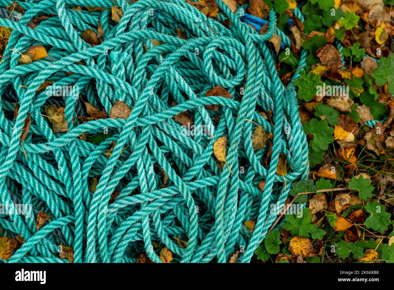Arrière-plan de corde vert abstrait - photo de stock Banque D'Images