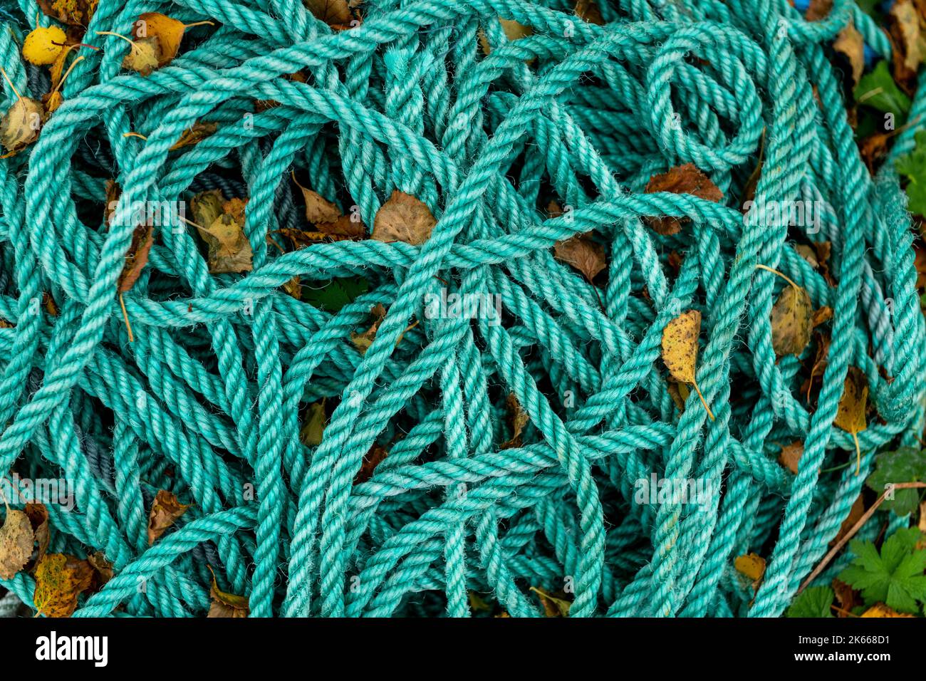 Arrière-plan de corde vert abstrait - photo de stock Banque D'Images