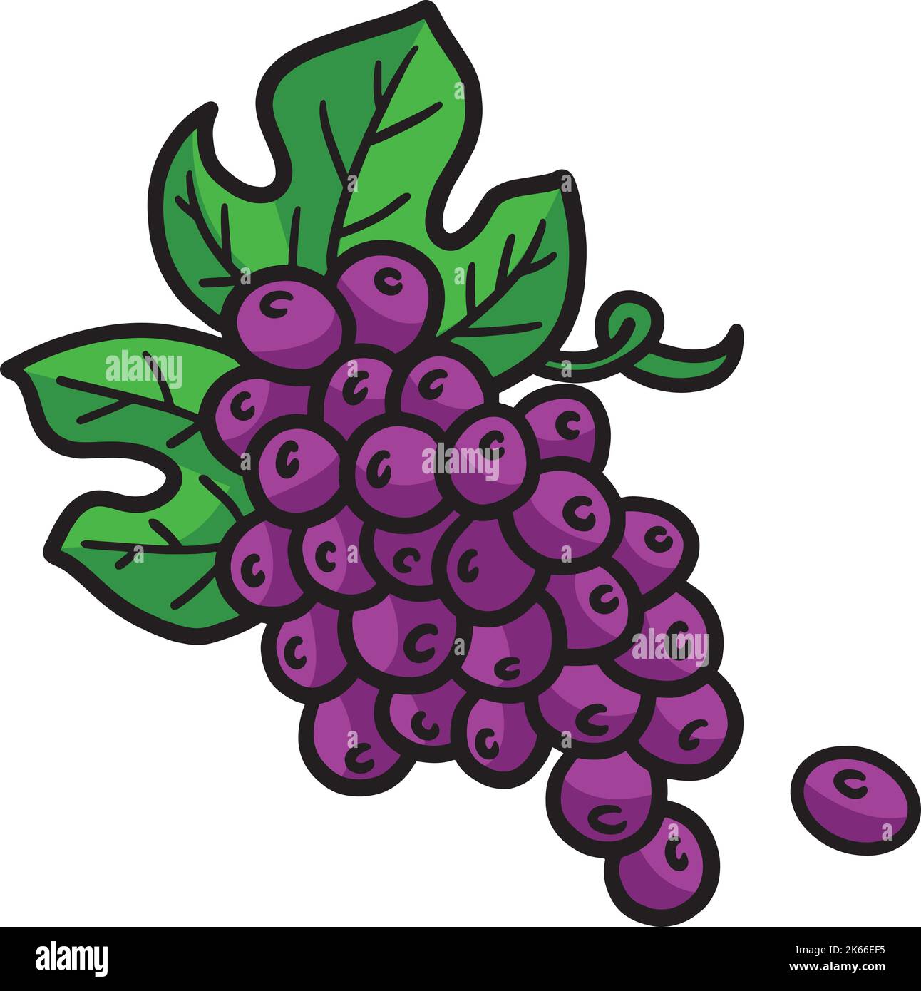 Illustration de la couleur du dessin animé du raisin Illustration de Vecteur