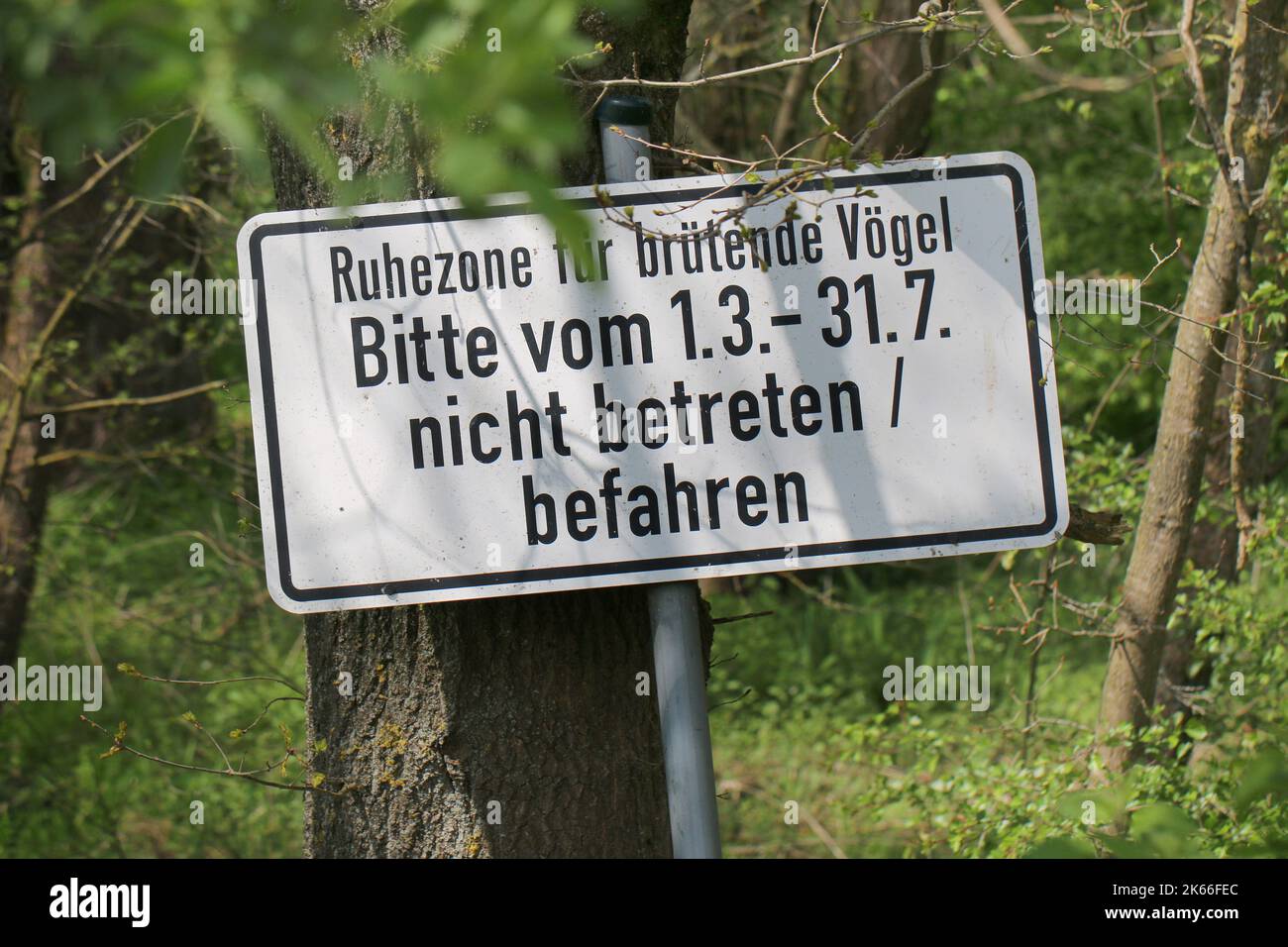 Aucun signe d'intrusion pendant la saison de reproduction désignée des espèces d'oiseaux sauvages, Allemagne Banque D'Images