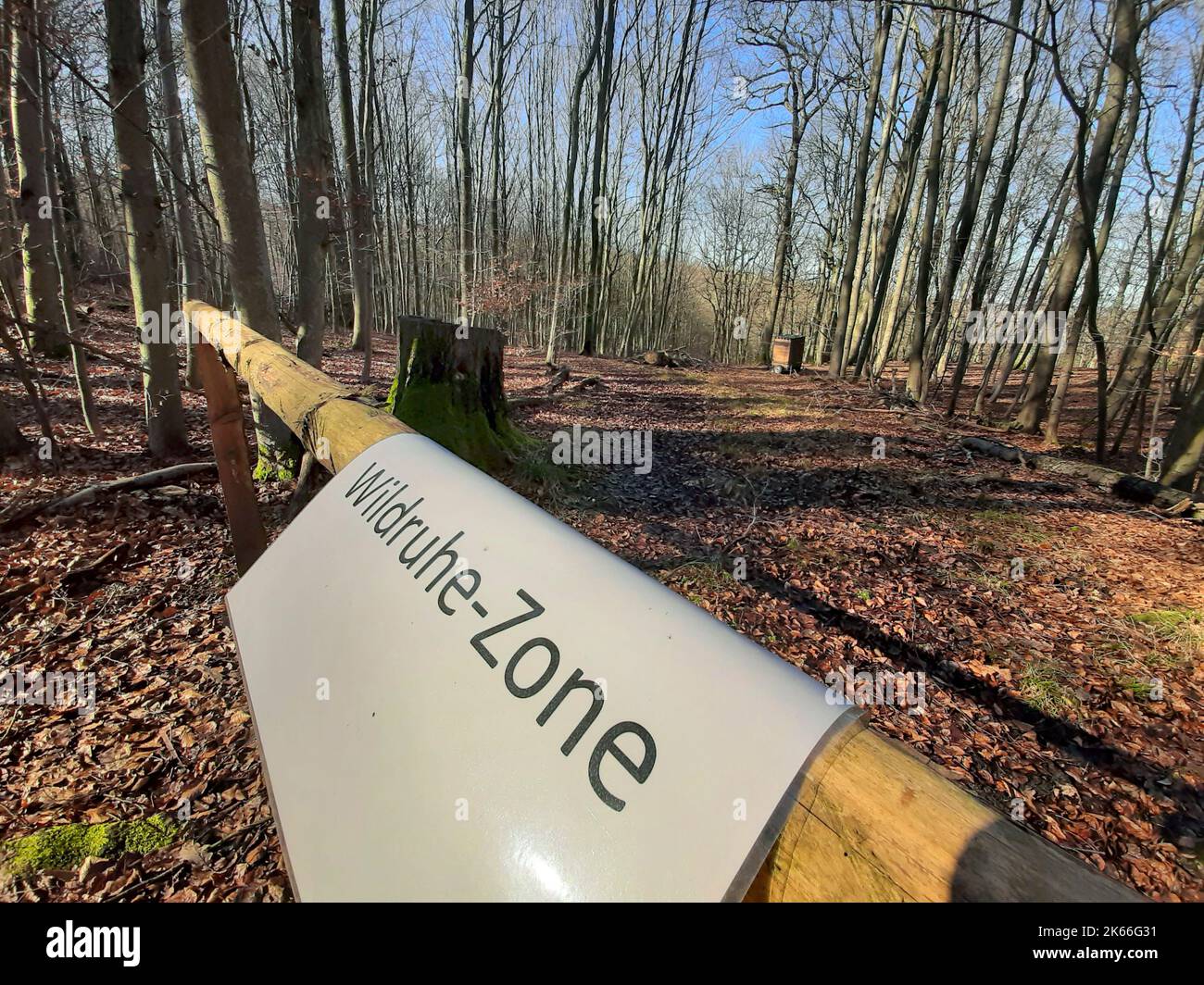 Panneau d'information réserve naturelle dans la forêt, Allemagne Banque D'Images