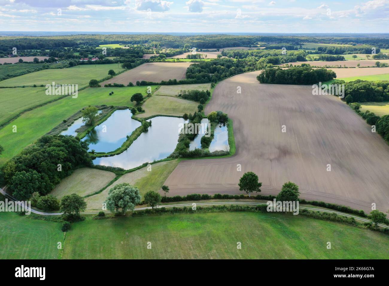 Vue aérienne des étangs à poissons dans les paysages de champs, Allemagne, Schleswig-Holstein, Linau Banque D'Images