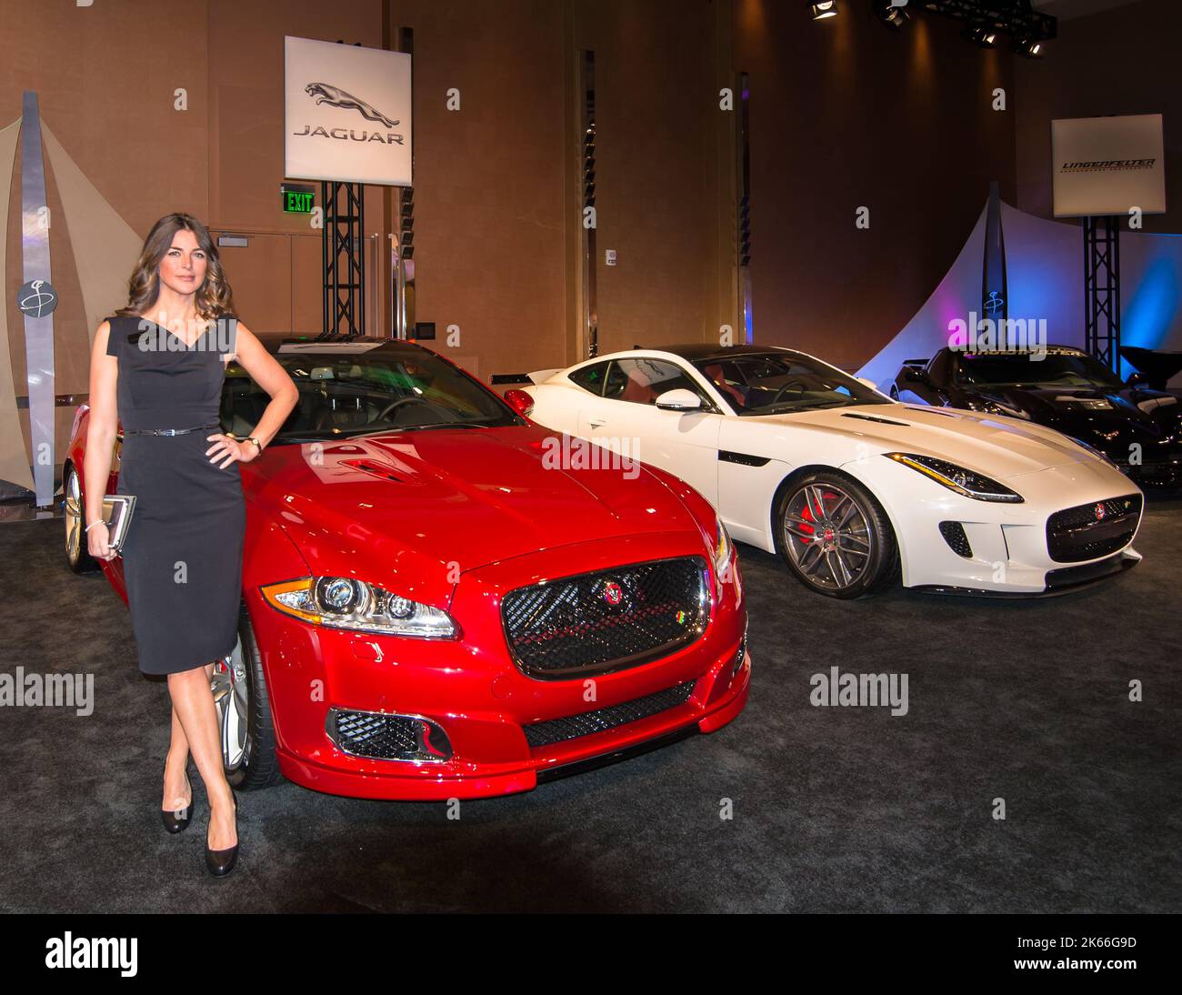 DETROIT, MI/USA - JANVIER 12 : exposition Jaguar à la galerie, salon international de l'auto nord-américain (NAIAS). Banque D'Images