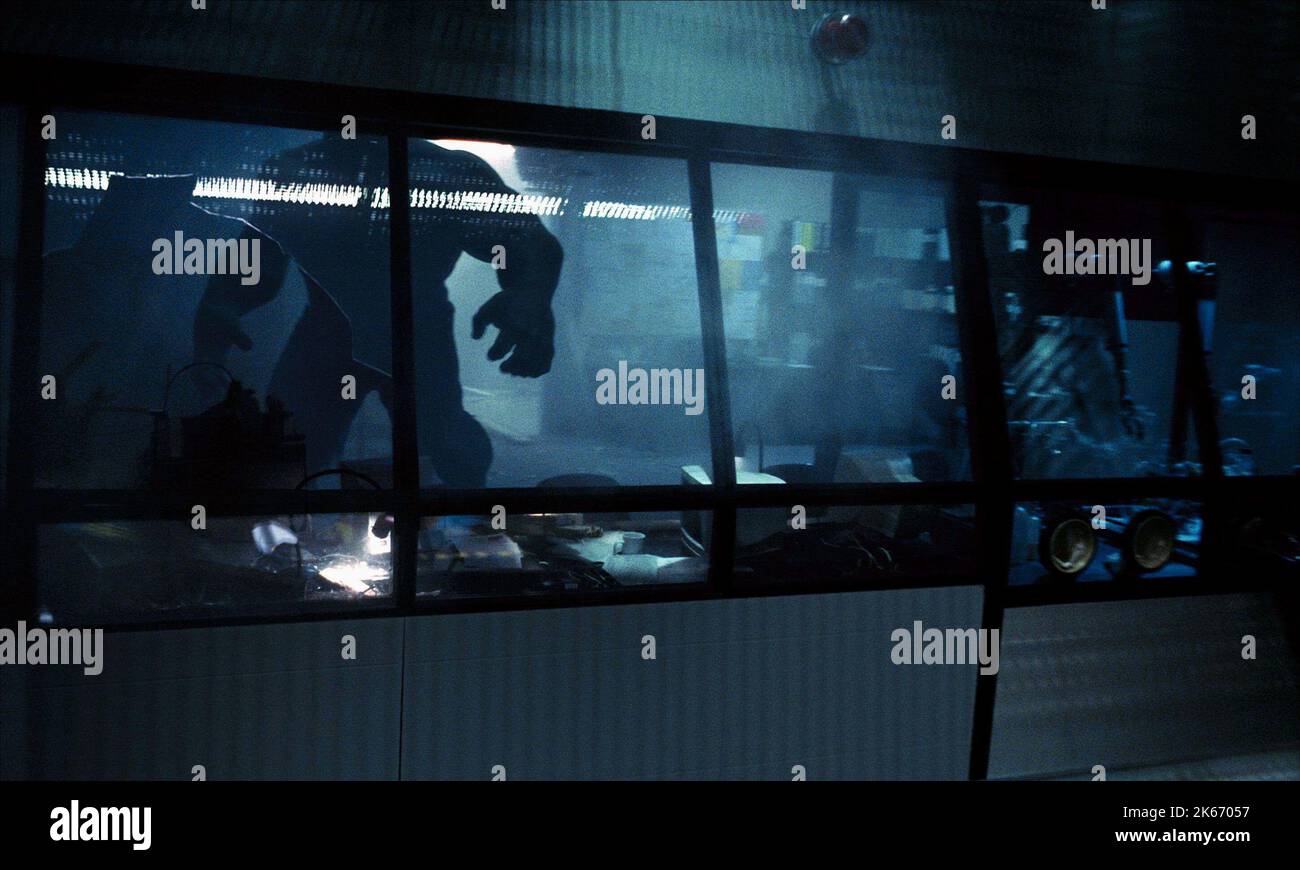 ERIC BANA, HULK, 2003 Banque D'Images