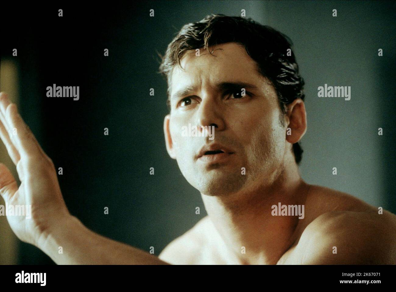 ERIC BANA, HULK, 2003 Banque D'Images
