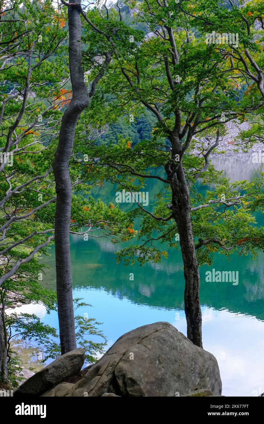 Lac Santo, Lago Santo en face des montagnes et des bois. La nature se reflète à la surface du lac. Parc national Appennino Tosco-Emiliano. Lagdei, Banque D'Images
