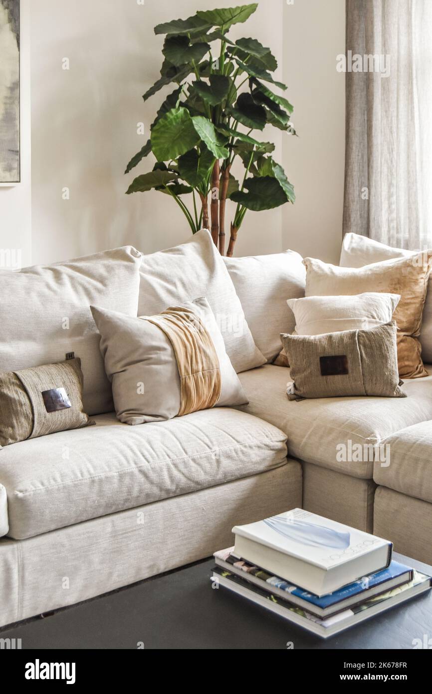 Canapé confortable avec coussins placés contre un mur lumineux et TV et des décorations dans une salle d'amour moderne Banque D'Images