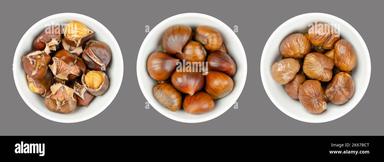 Châtaignes non décortiquées, grillées et bouillies, marrons dans des bols blancs sur fond gris. Châtaignes sucrées, Castanea sativa. Banque D'Images