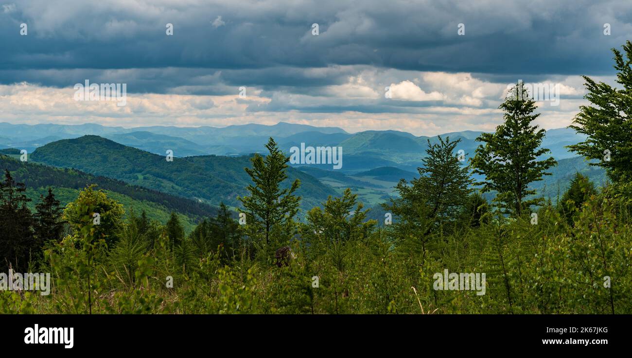 Les collines Nearee de Strazovske vrchy et la partie la plus méridionale des montagnes Mala Fatra depuis la colline de Kanur dans les montagnes Bile Karpaty aux frontières tchèque - slovaque Banque D'Images