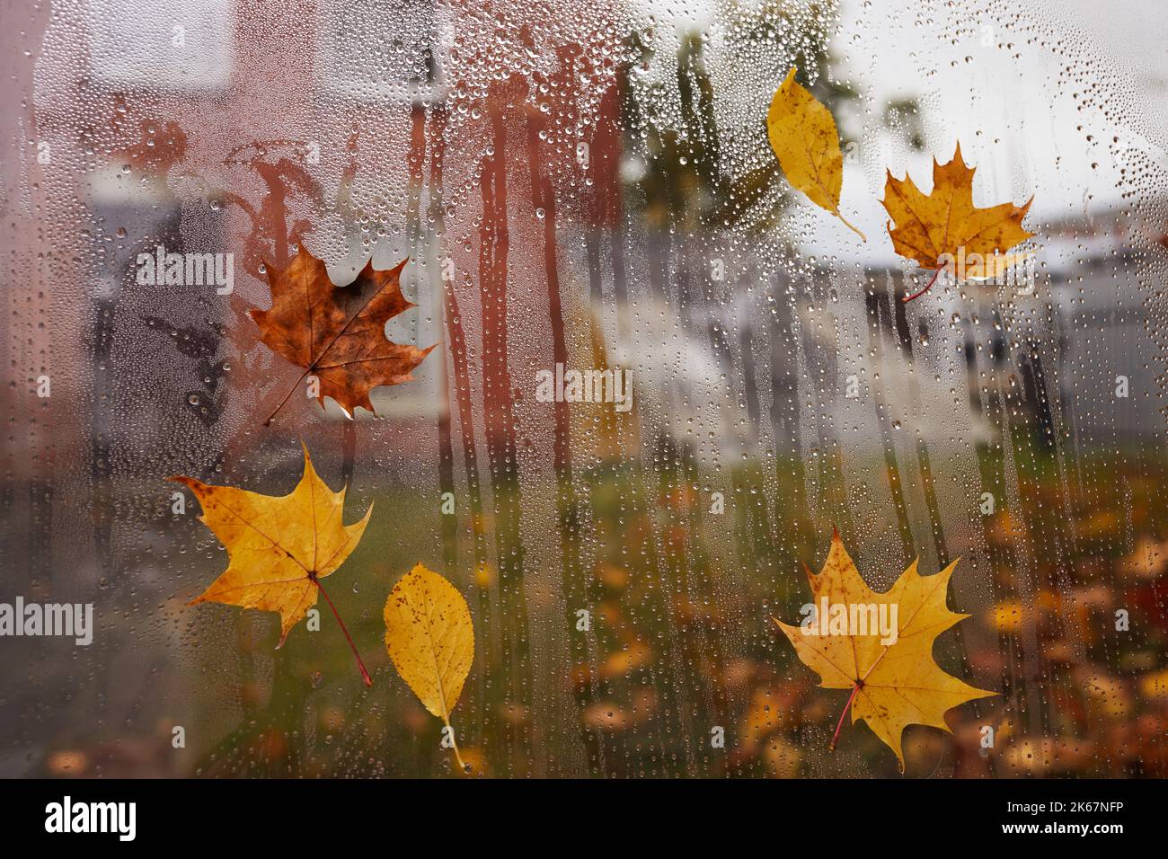 Feuilles d'automne et gouttes de pluie sur la fenêtre, automne pluvieux jour Banque D'Images